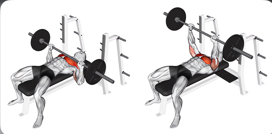 Жим штанги лёжа