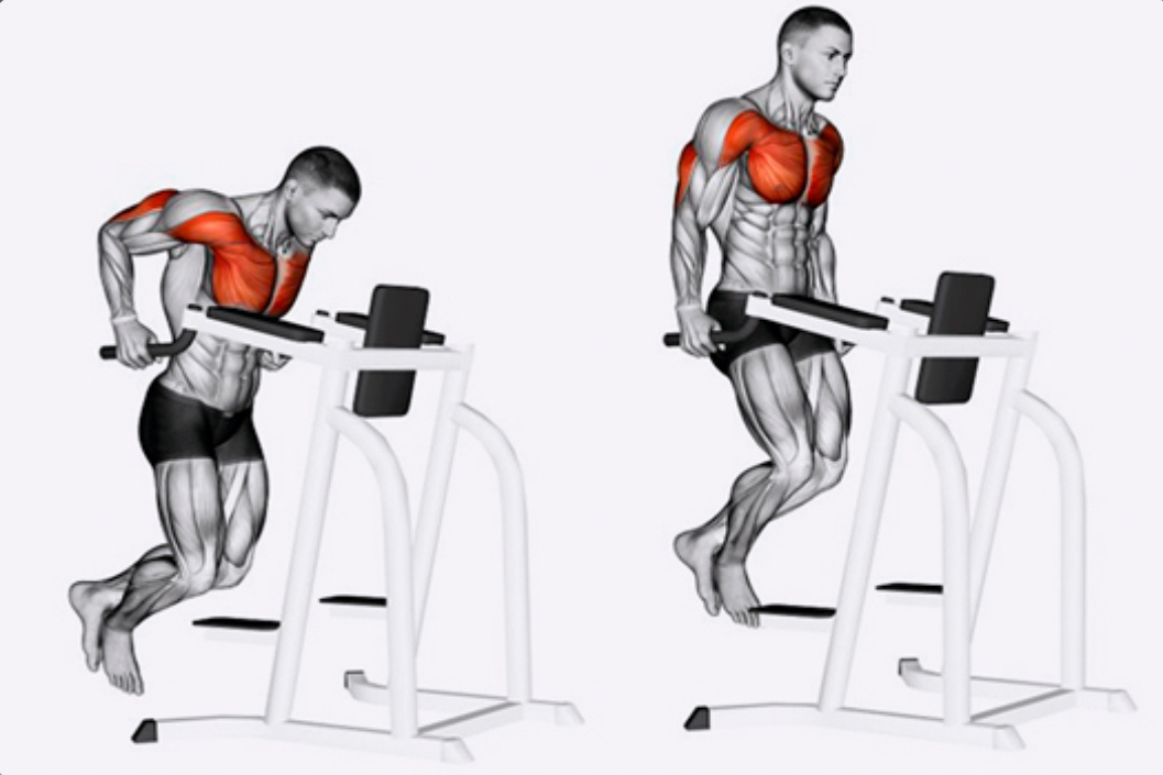 Отжимания на брусьях 