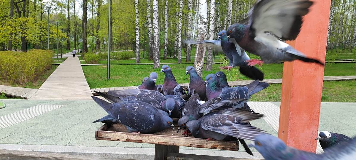 Листайте галерею. Фото: Краса Елена