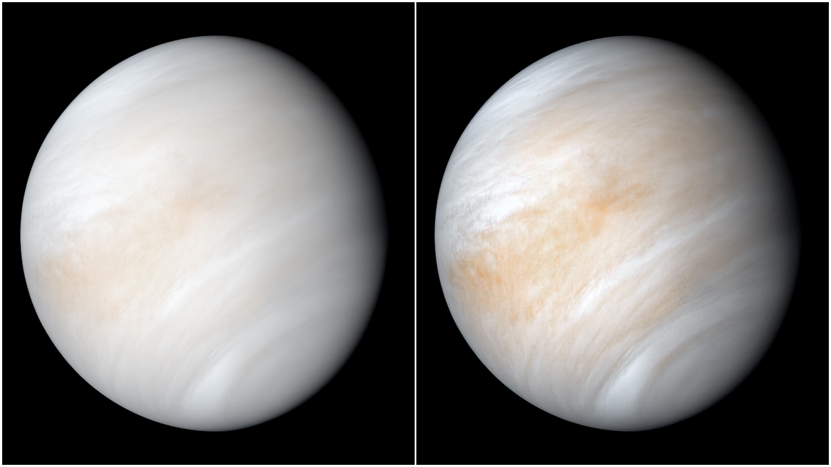Снимок, сделанный космическим аппаратом НАСА «Маринер-10» во время его отлёта от Венеры в 1974 году, запечатлел планету, похожую на Землю по размерам, укутанную плотным слоем облаков, создающим иллюзию спокойствия. Этот исторический кадр был получен с использованием ультрафиолетового фильтра, что позволило выделить сложные узоры облаков, невидимые в обычном свете. Однако за этой кажущейся безмятежностью скрывается суровая реальность. Это изображение было недавно обновлено с использованием современных технологий обработки данных, что позволило взглянуть на Венеру с новой четкостью. photojournal.jpl.nasa.gov/catalog/PIA23791