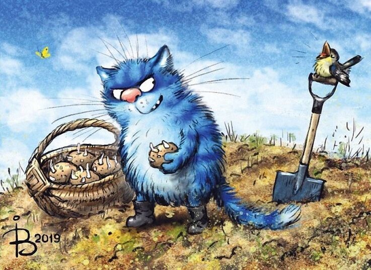 художник Рина Зенюк