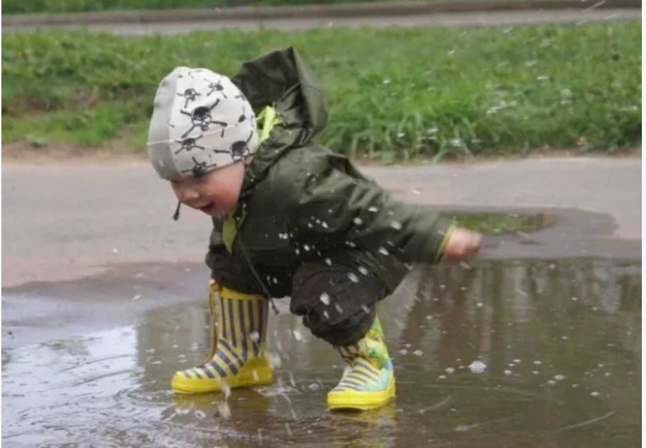 Яндекс картинки