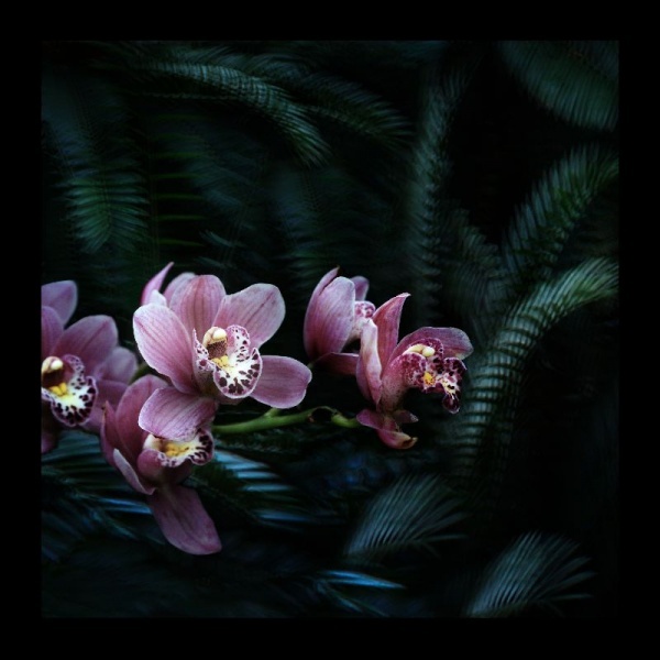 фото для интерьера, 100х100 фото на холсте с подрамником