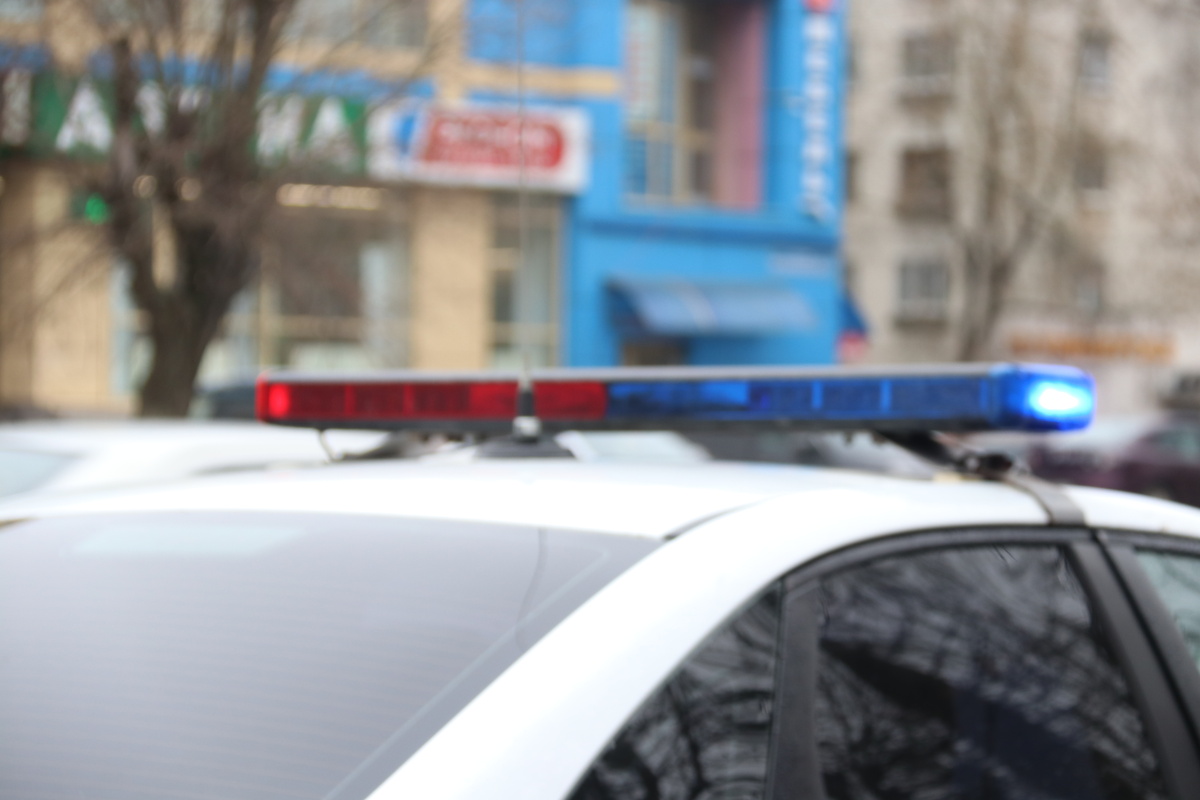 Фото: Екатерина Царева