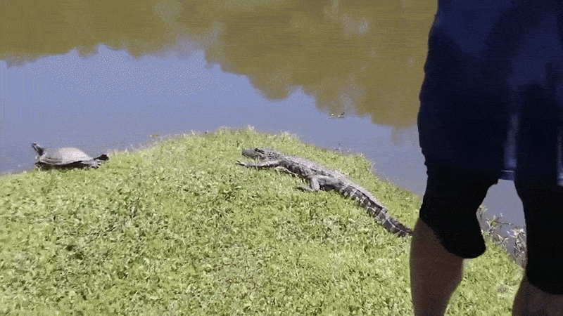 Нравится Формат? Поддержи Канал Лайком и напиши какой эпизод понравился больше всех