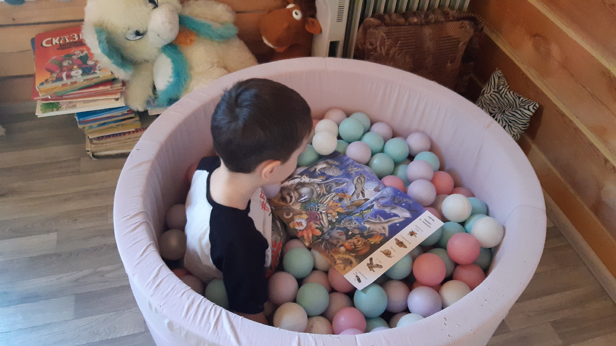 Серёжа увлечённо рассматривает картинки.