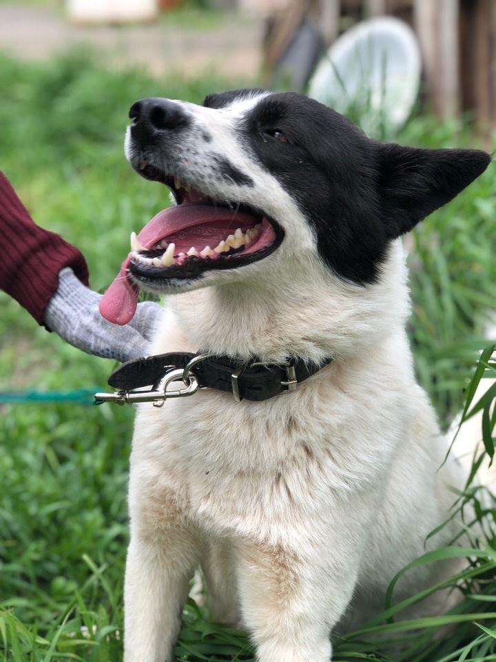 Что вы знаете о счастье? Поехать на море? А просто так быть счастливым пробовали? Я вот стараюсь и вам подскажу