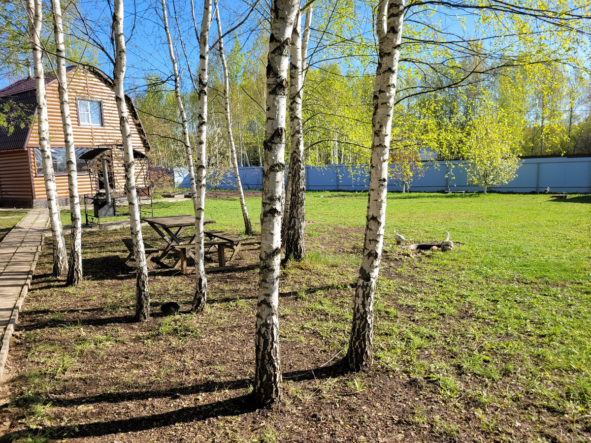 Дачный участок