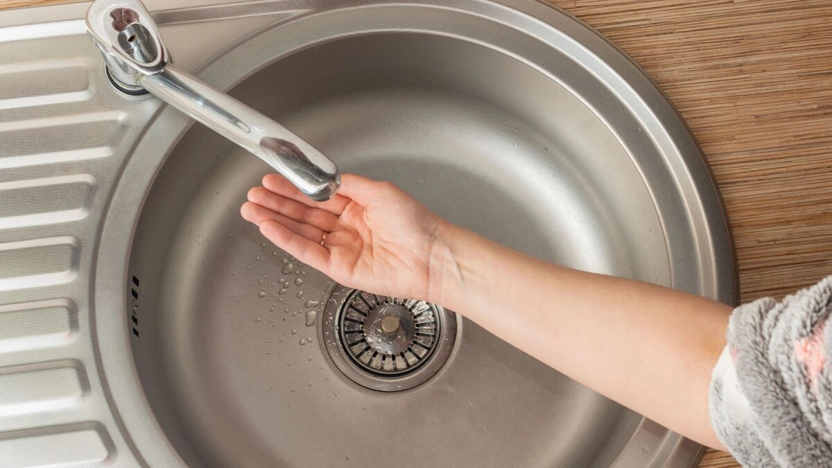    Фото: Sergei Gorin/Shutterstock/Fotodom