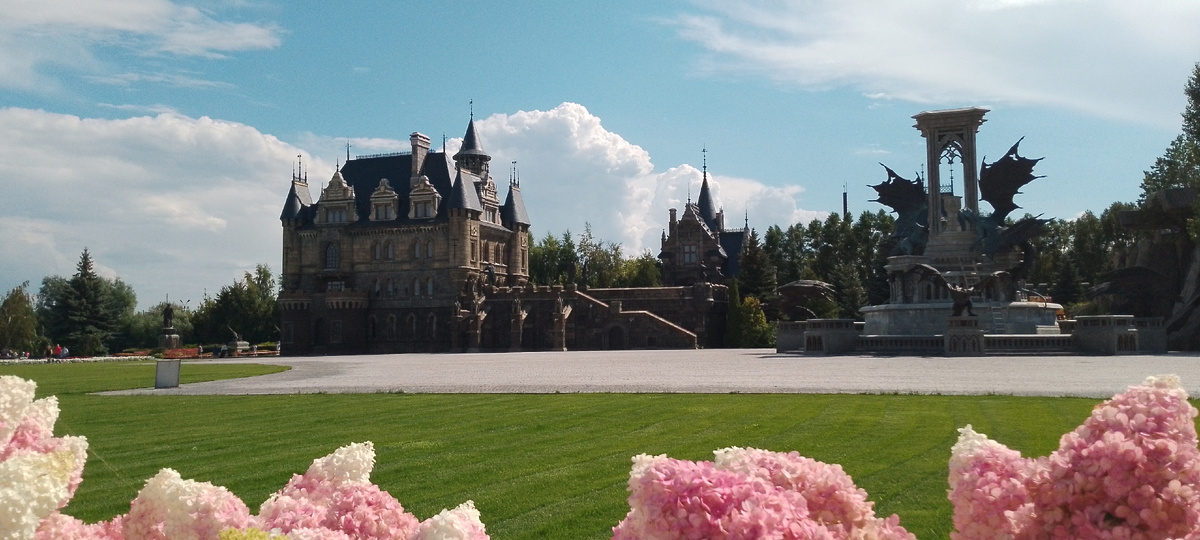 Там такие невероятные гортензии