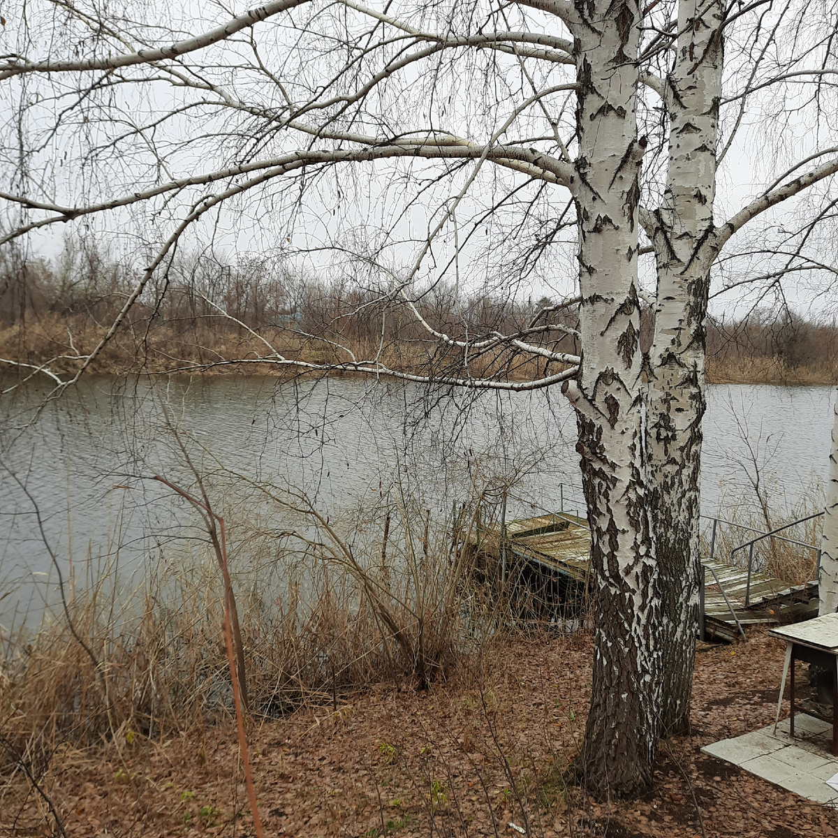 Это заброшенный кусочек берега