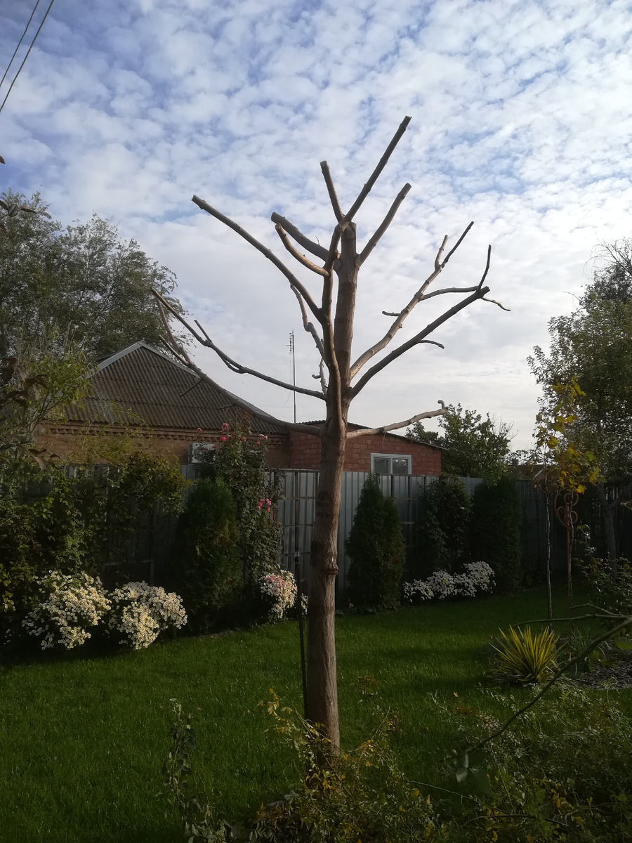 Стоял ноябрь уж у двора. 