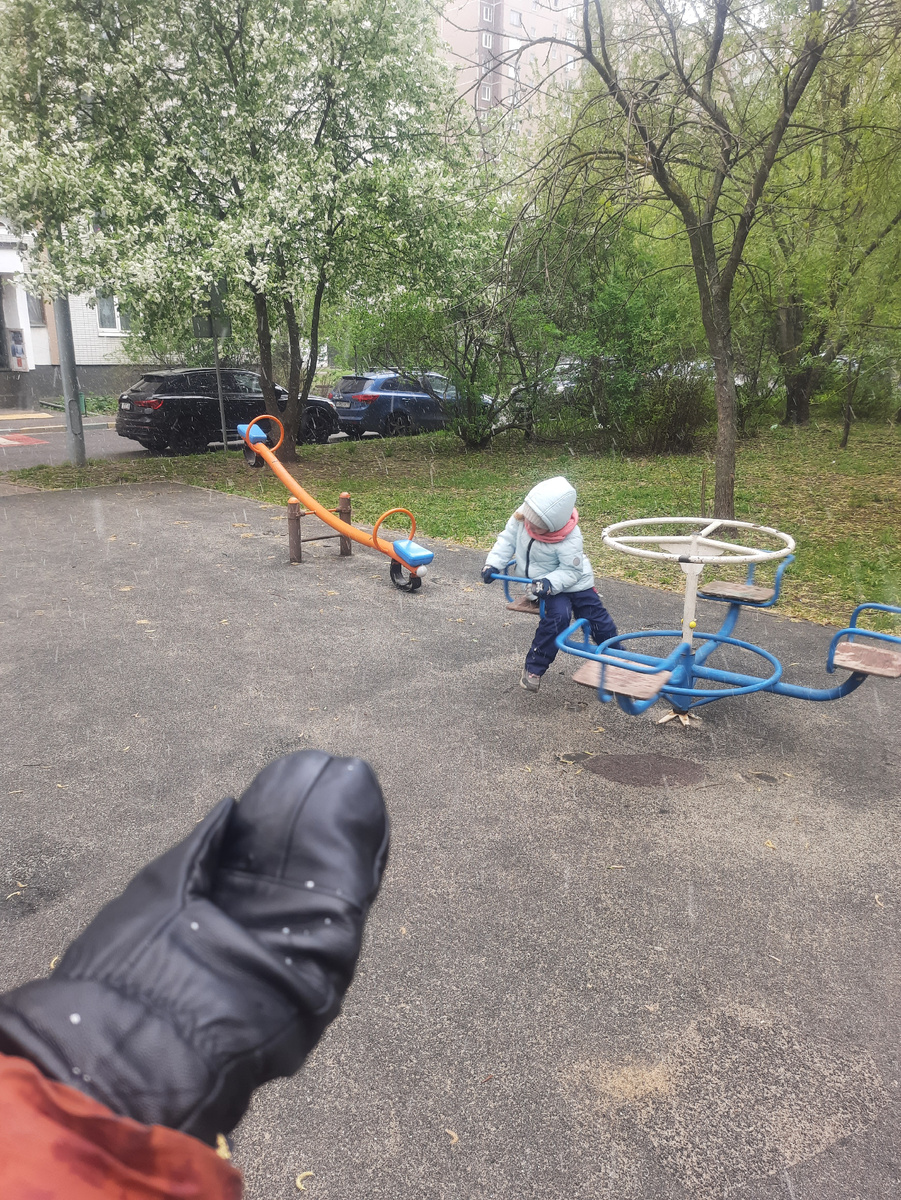 Черемуха зацвела))