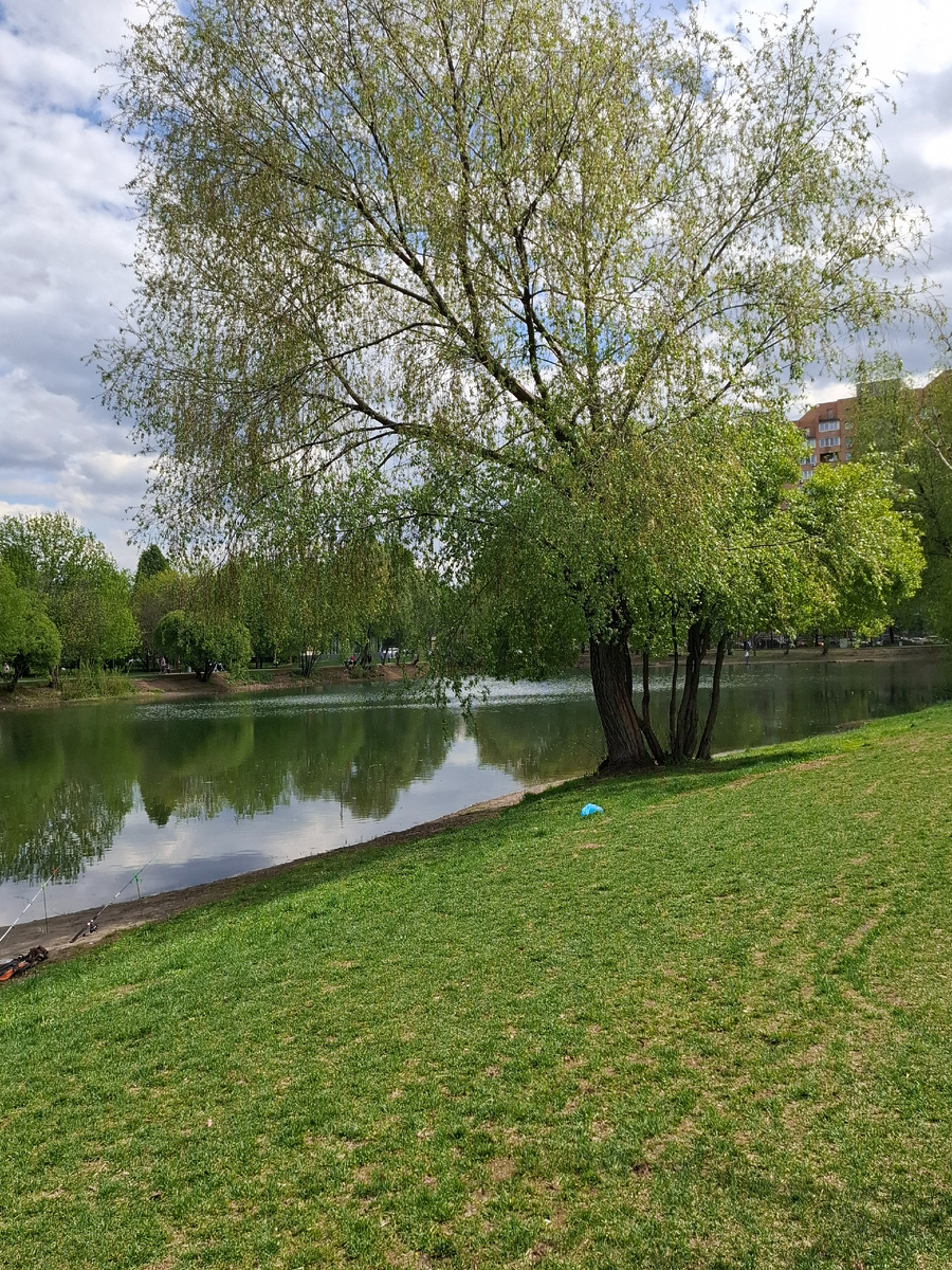 Фото автора.