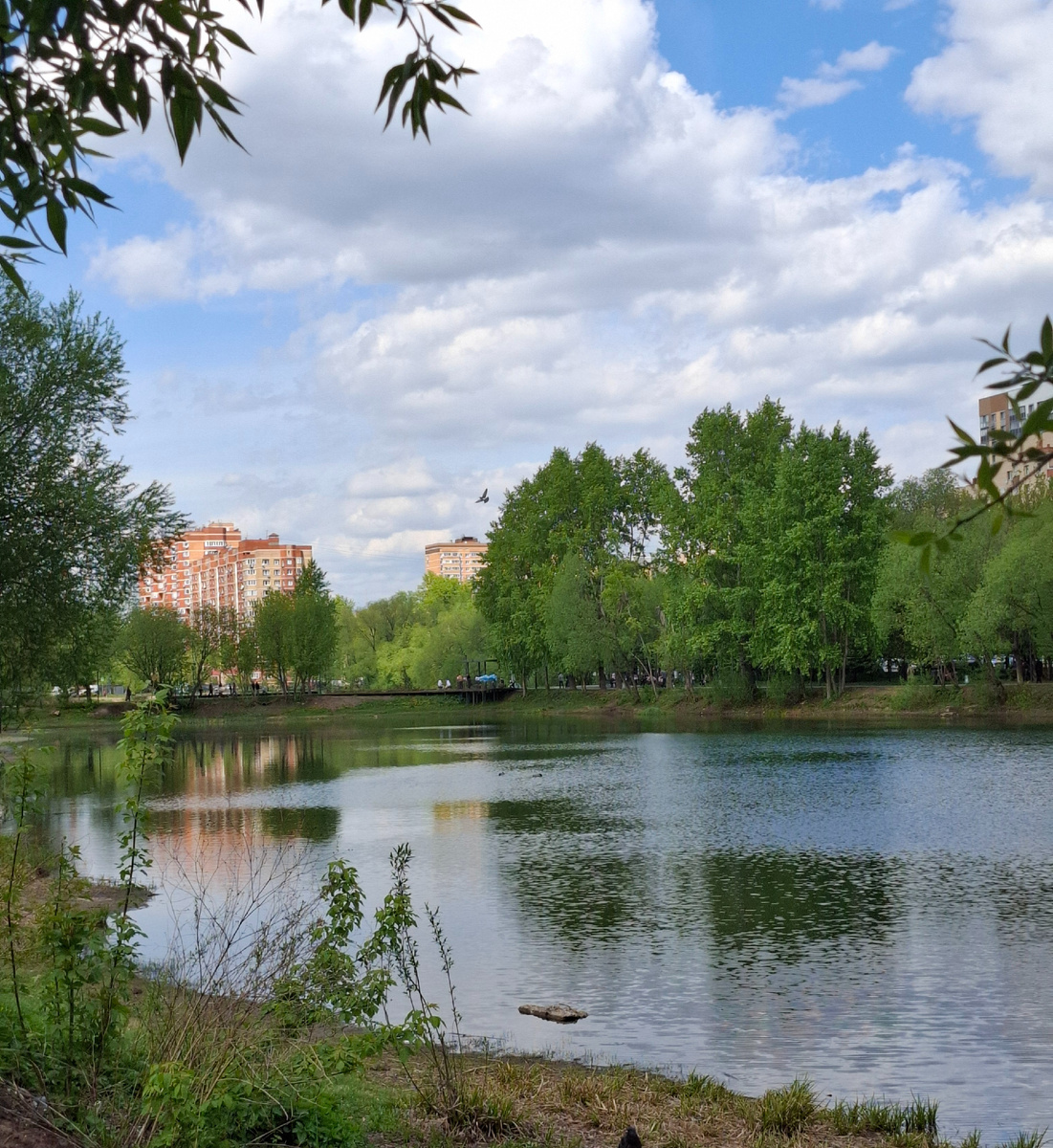 Фото автора.