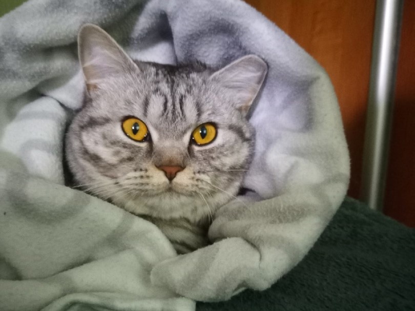    Фото: Кира Перова