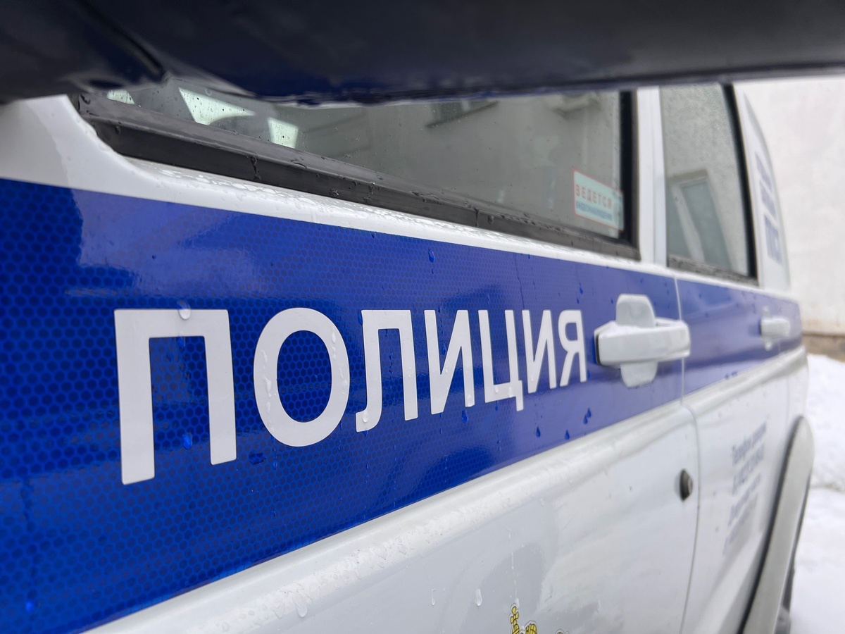 Фото: Екатерина Царева