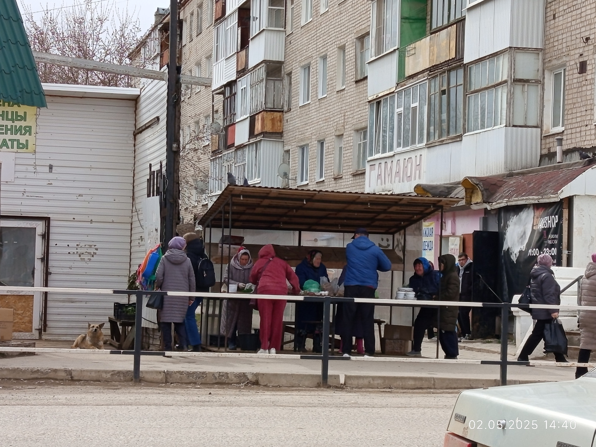 Фото автора.