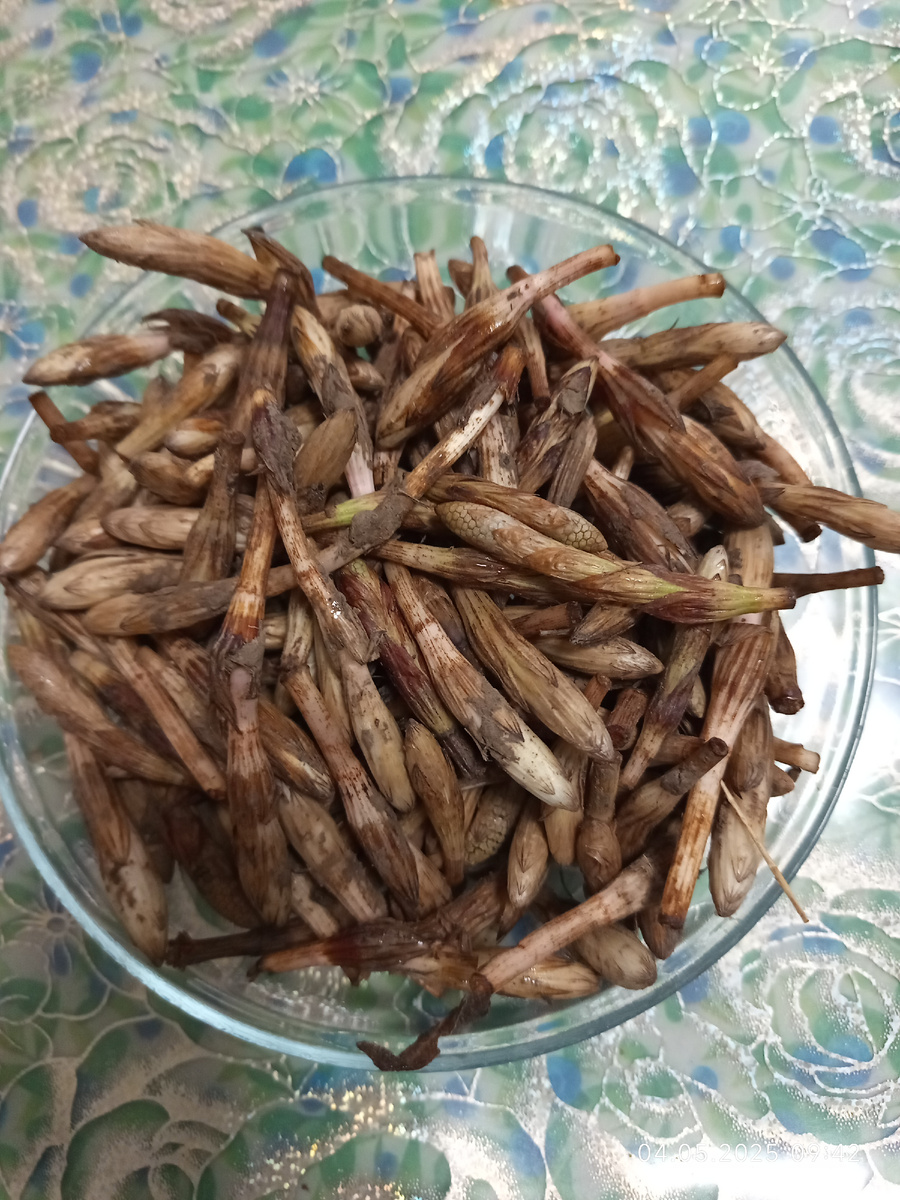 Изначальный вид прекраного растения. Листайте