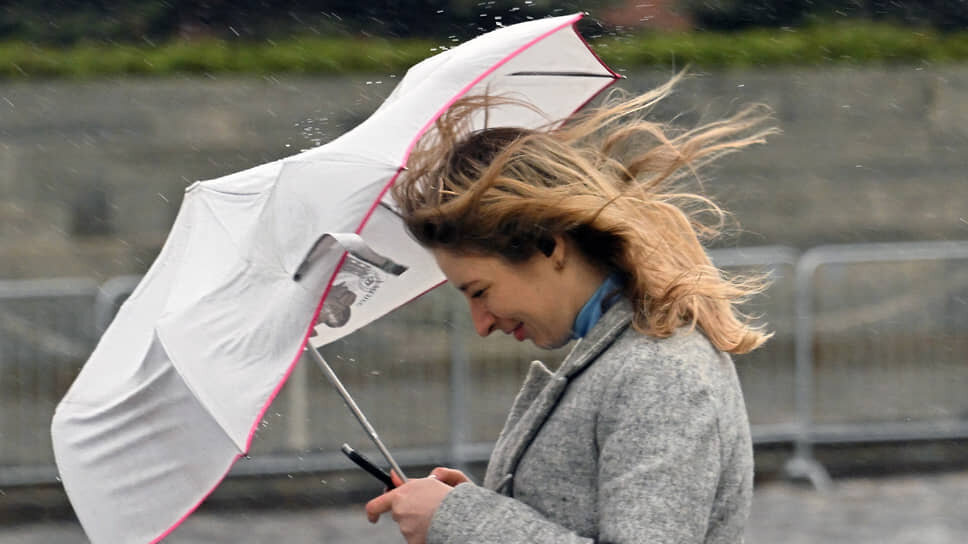 Фото: Анатолий Жданов / Коммерсантъ