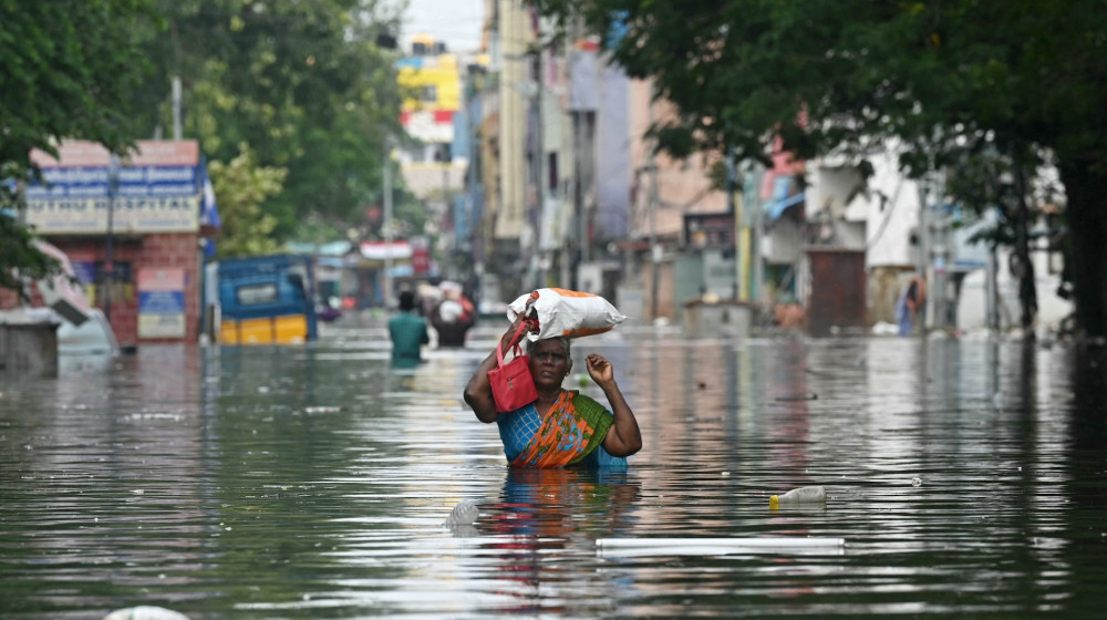    Глобальное потепление превращает еду в яд
