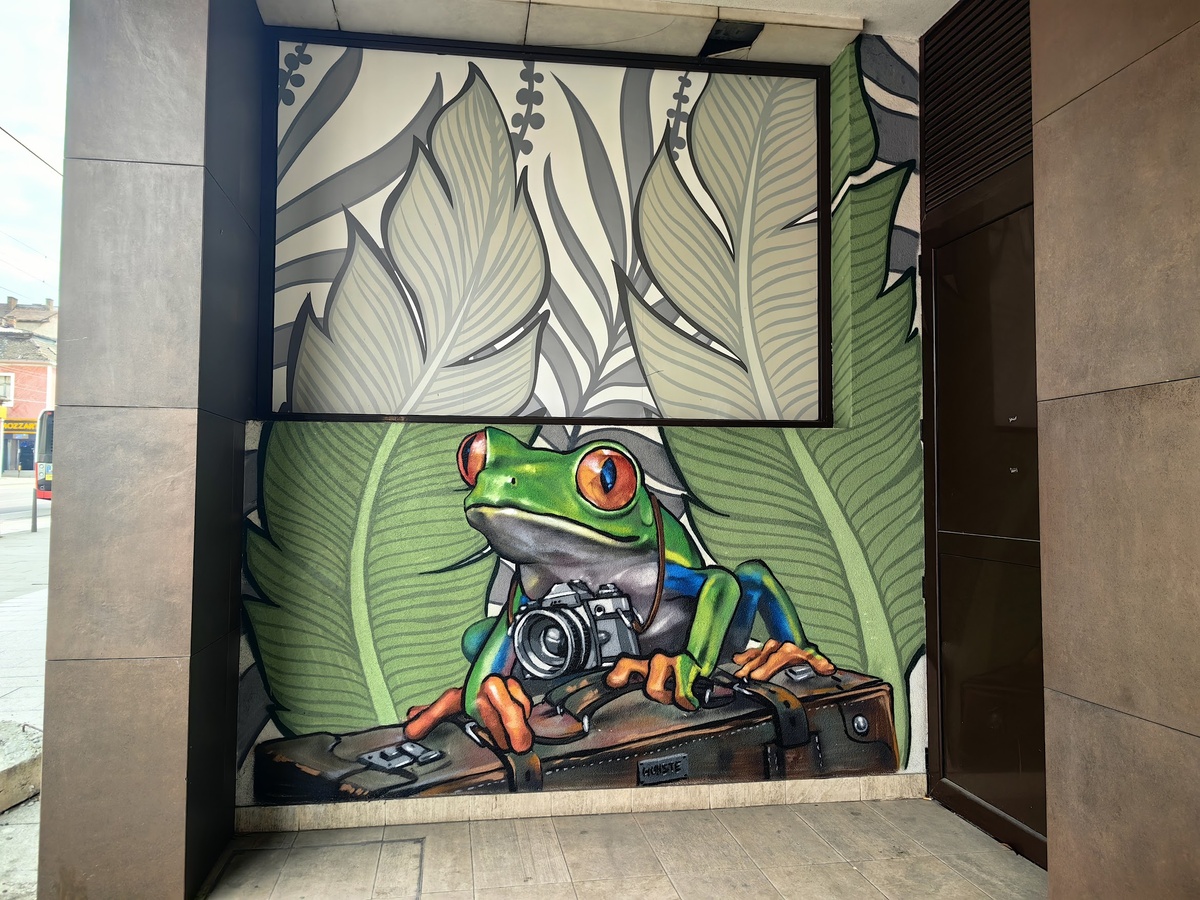 Поместишь в Дзен фото милой лягушки-путешественницы, а в комментариях напишут, аффтор - скользкая жаба. 