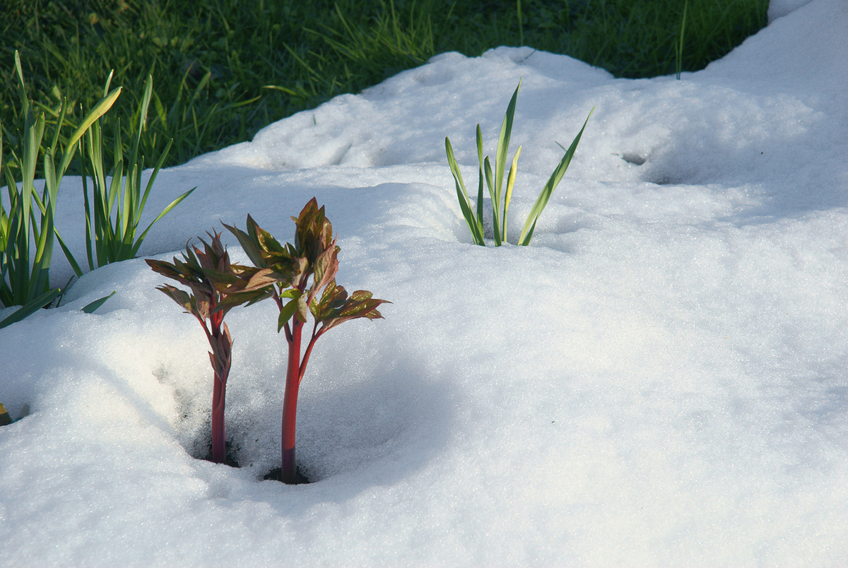 Фото автора.