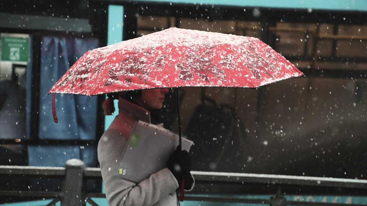    Фото: vecherka-spb.ru