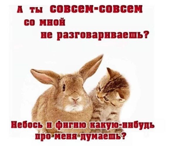 Додумывание часто приводит к ссорам и конфликтам на пустом месте 