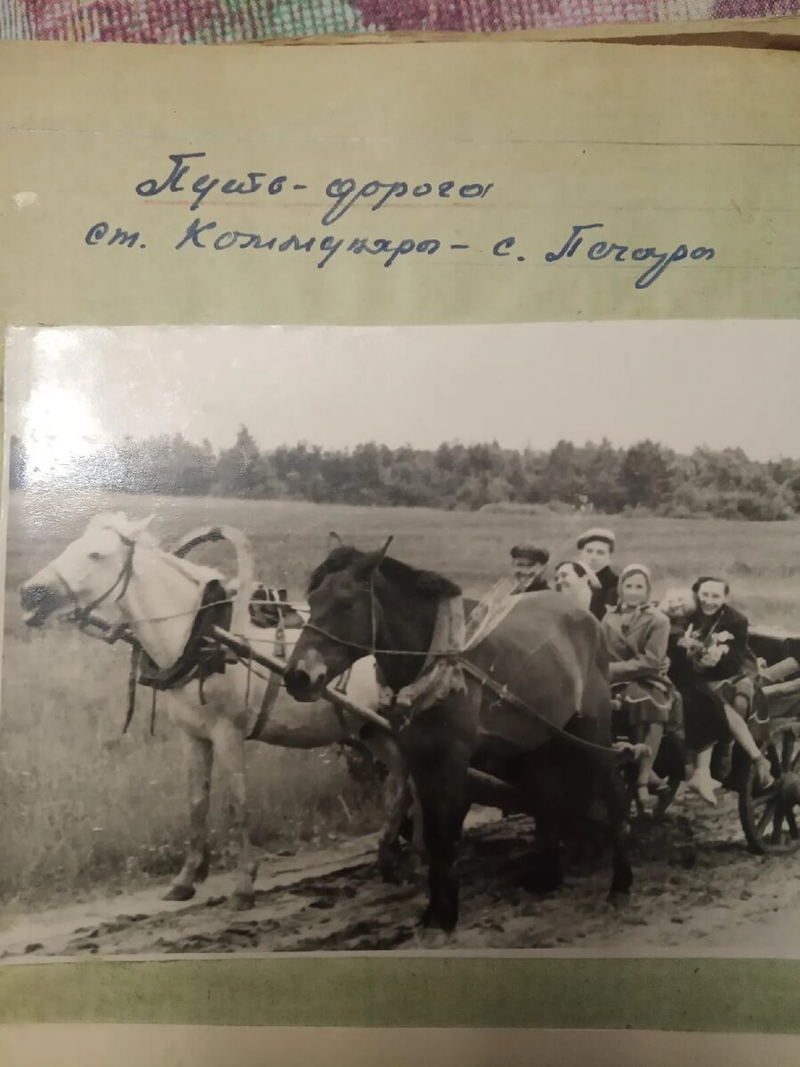 Добраться от станции  к деревне,можно было только на лошадях.