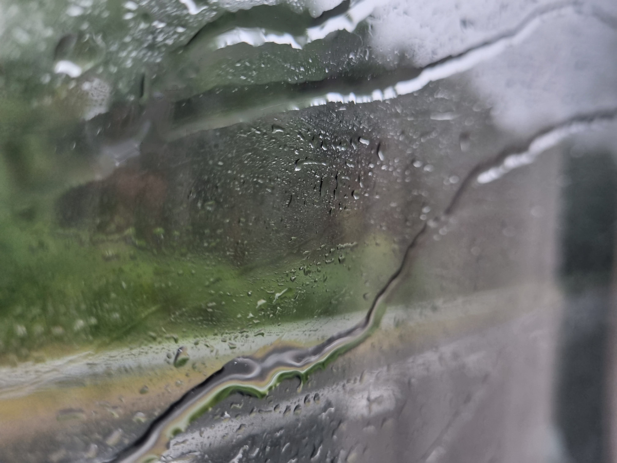 В тот момент Рембрант нервно курил в стороне. Это ли не прекраснейшая из картин? 