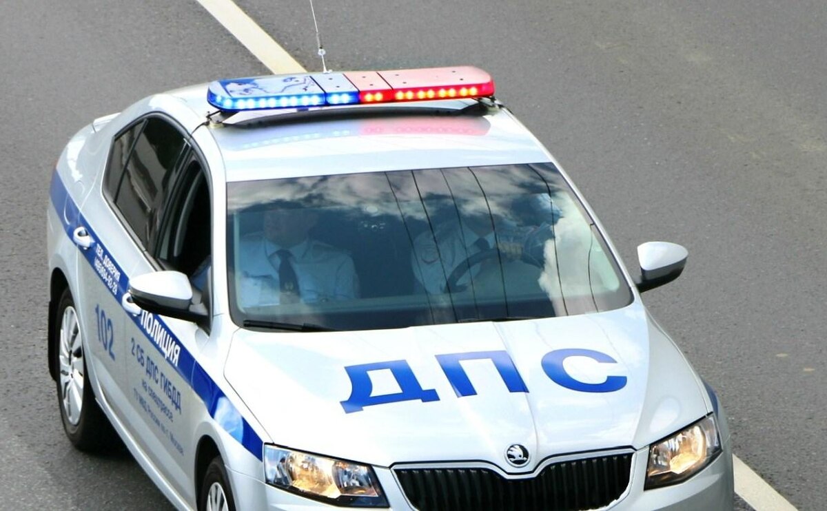    Фото: МВД-Медиа