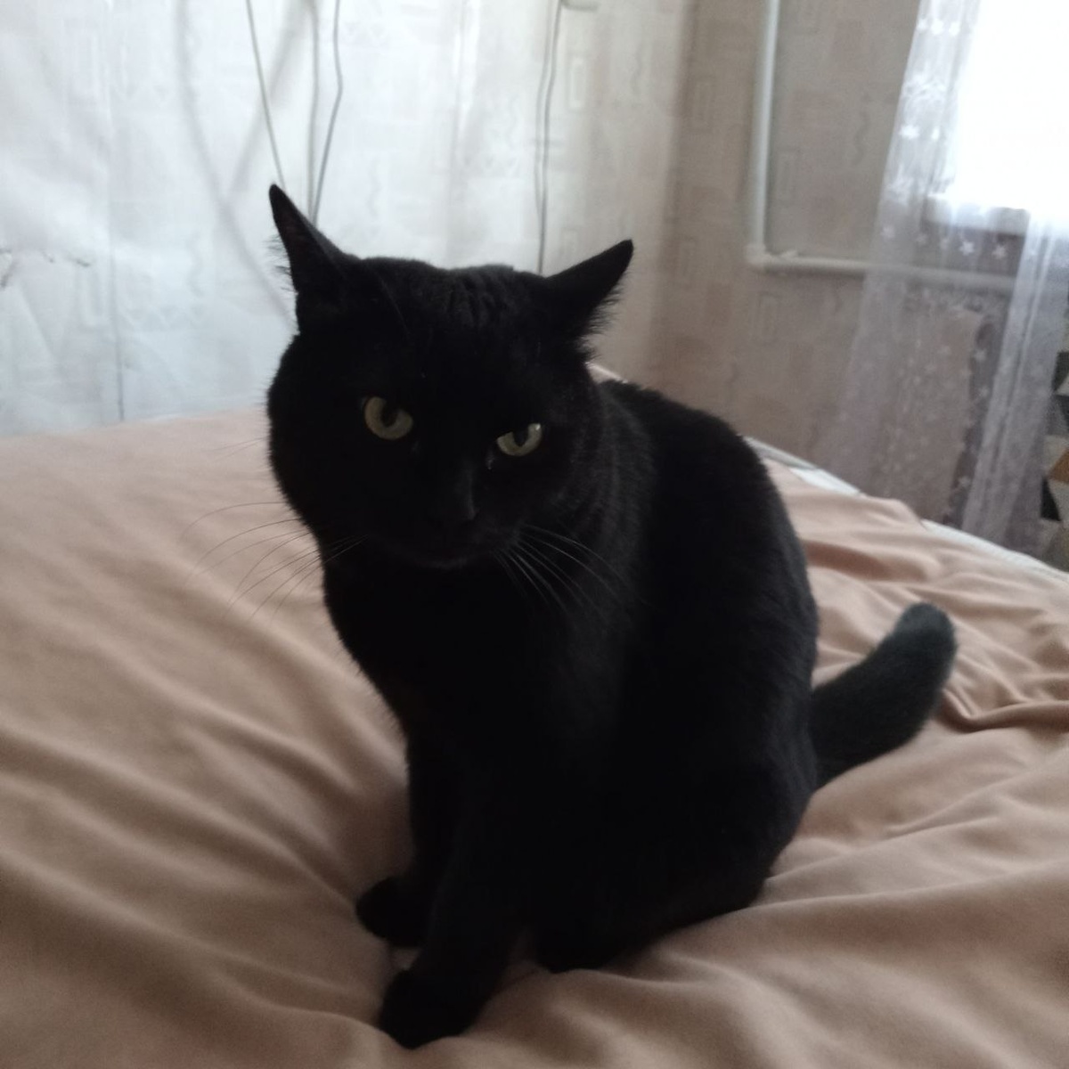 Фото автора 