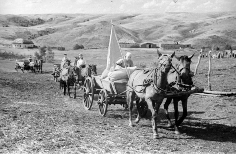    Чкаловская область. Год юбилея Победы Андрей Севостьянов