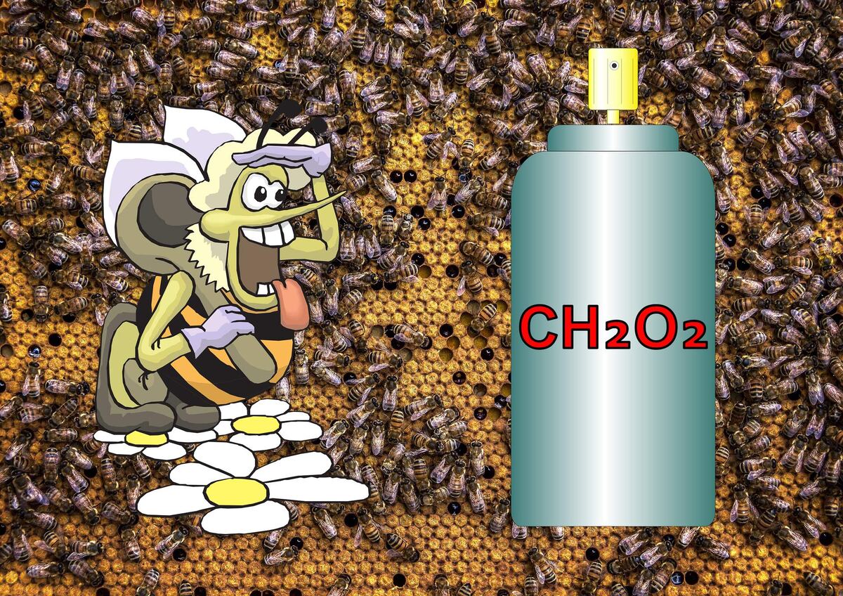 Муравьинка против варроатоза пчел