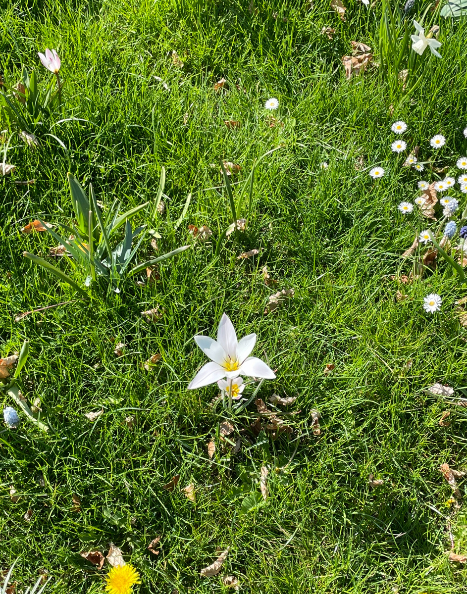 Шопинг как форма творчества