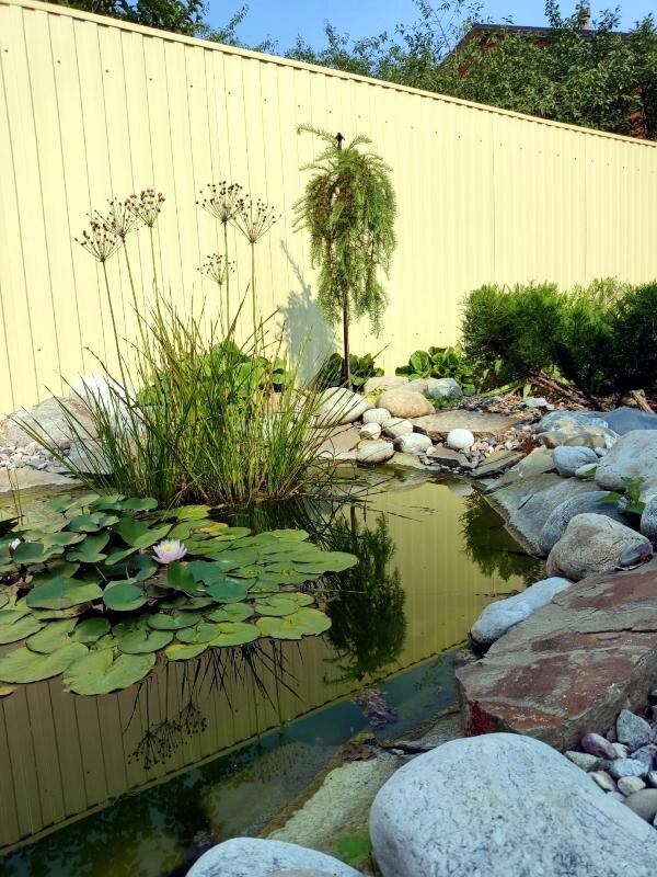 Наша работа 