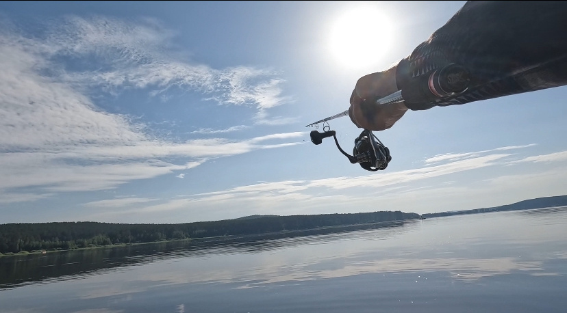 Твичер/ Охотник на шерстяных гусениц. 