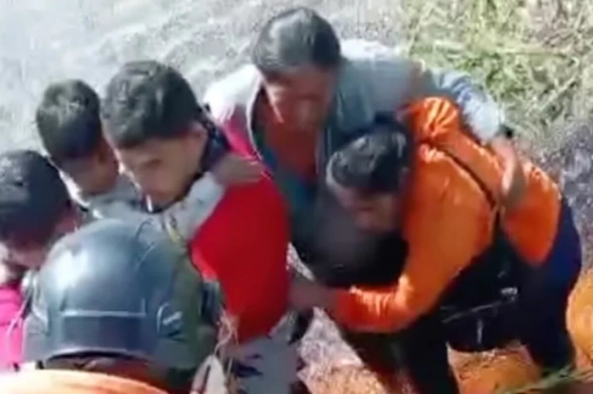    Стало известно, как 5 человек выжили в болотах Амазонки среди аллигаторов