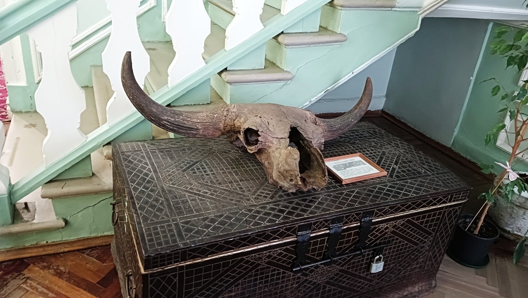 экспонаты «Павловского исторического музея»