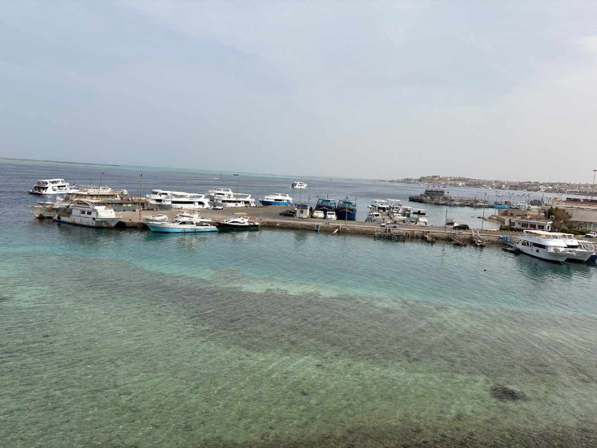 Наш вид из номера 