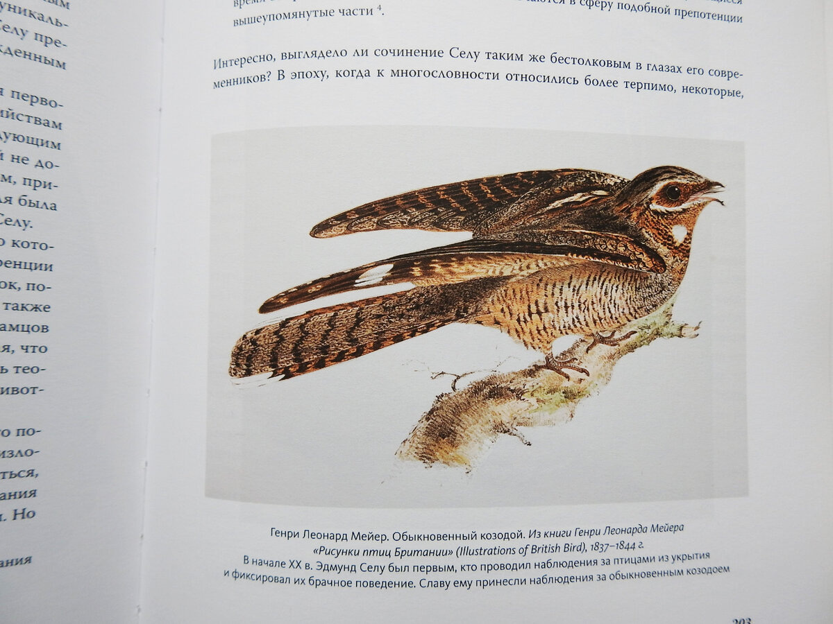 Страница из книги Тима Беркхеда "История орнитологии"