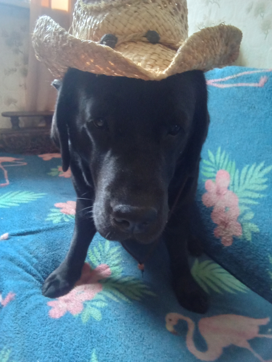 Фото автора.