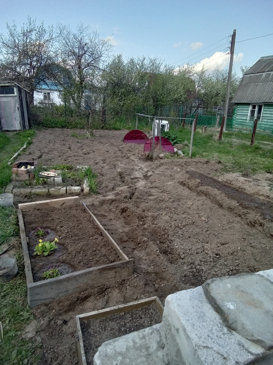 Фото автора.