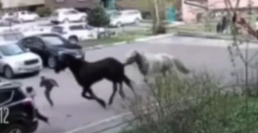    Фото: соцсети