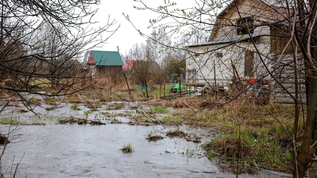    Elena Mayorova/Globallookpress