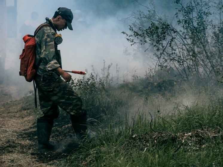     Фото: Андрей Сорокин/ЯСИА.