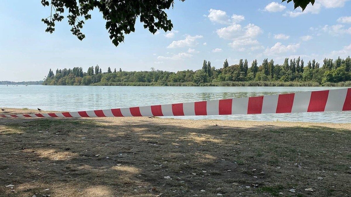    фото: архив телеканала «Краснодар»