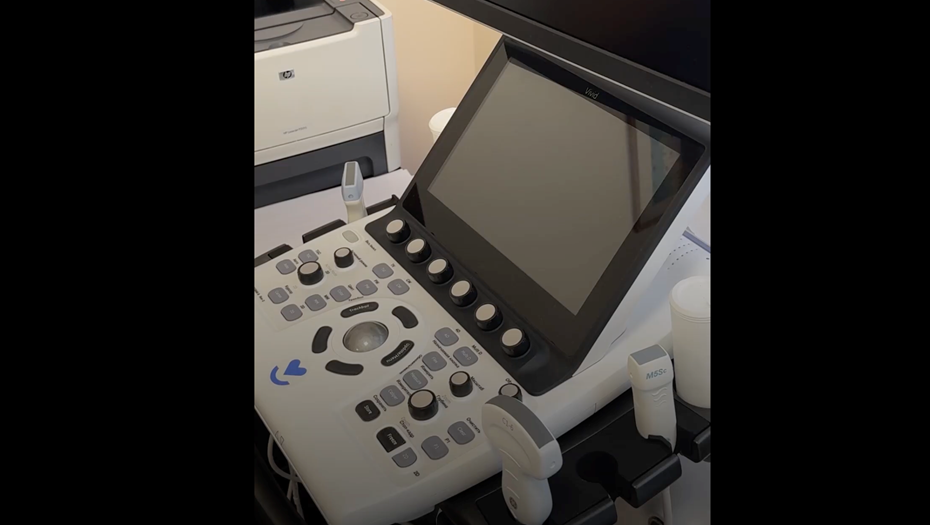    Автор фото: Скриншот видео t.me/spbprav