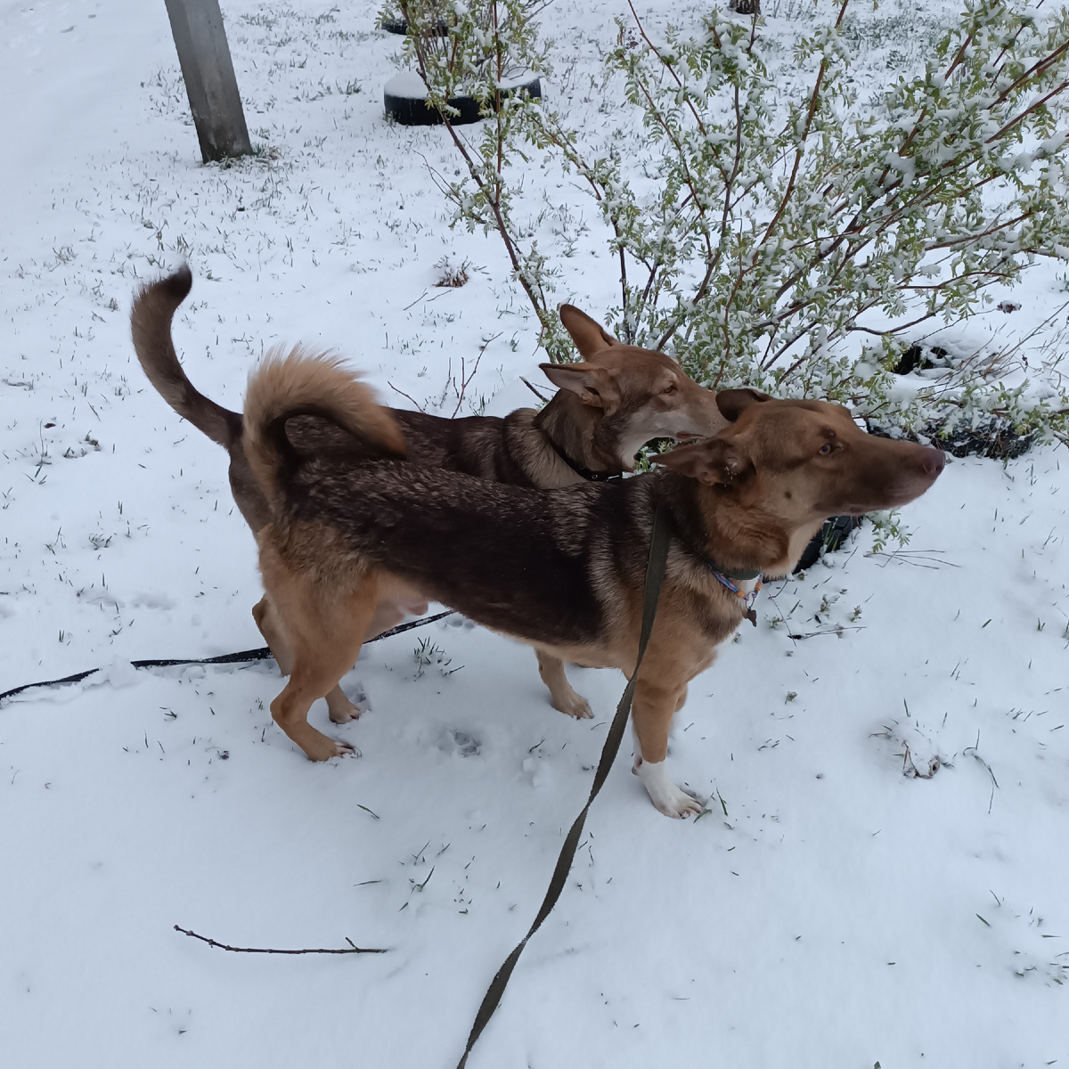 Вот это да....